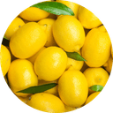 Citrusová vláknina